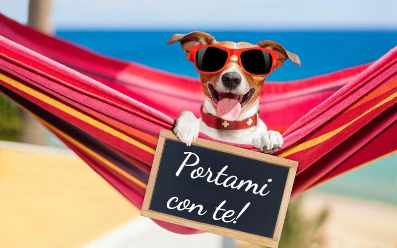 Vacanze con il cane al Camping Village Vieste Marina villaggio pet friendly a Vieste nel Gargano